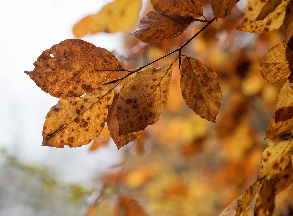 4711 16X_4291-1-Kopie.jpg